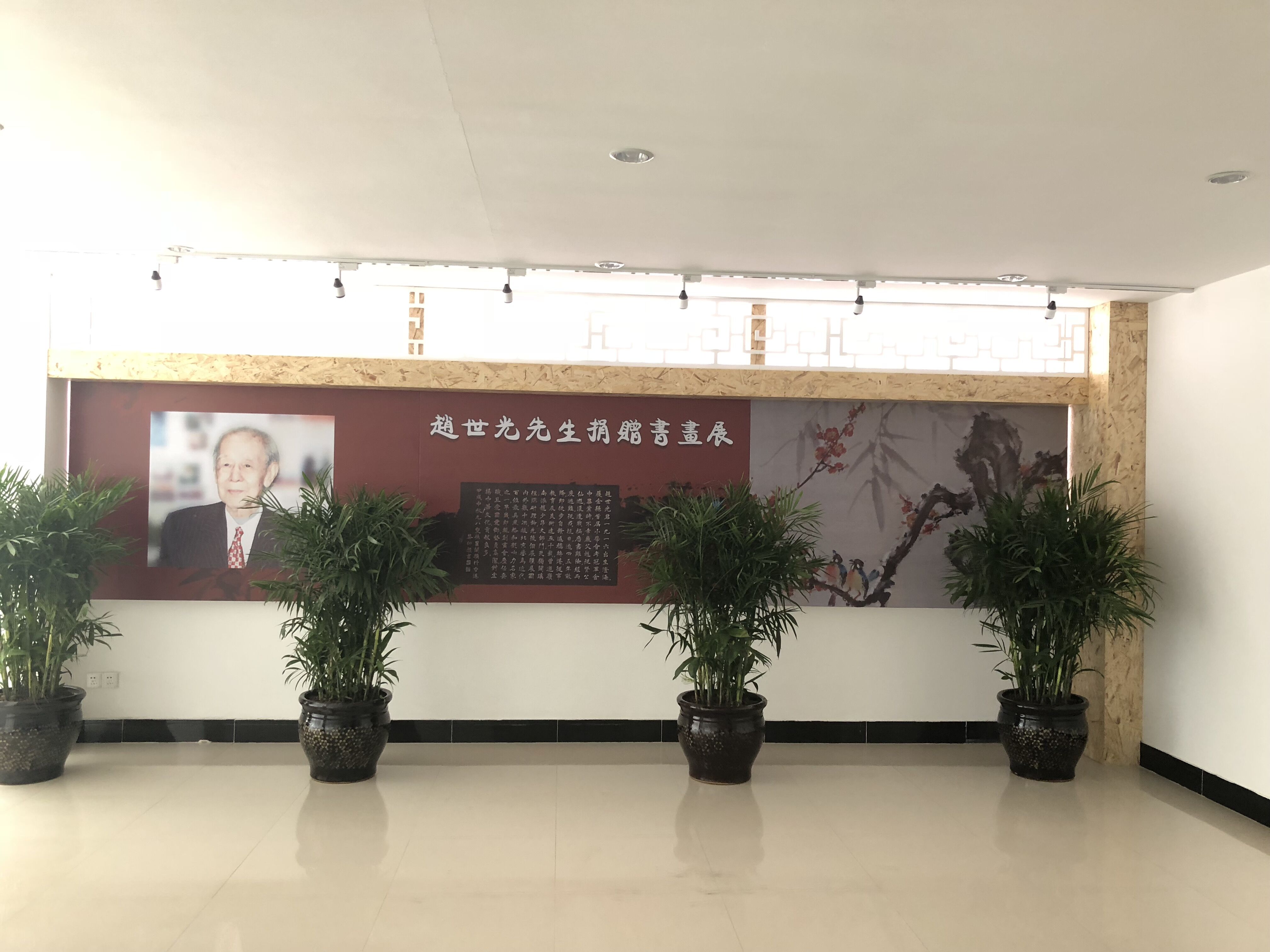 展3