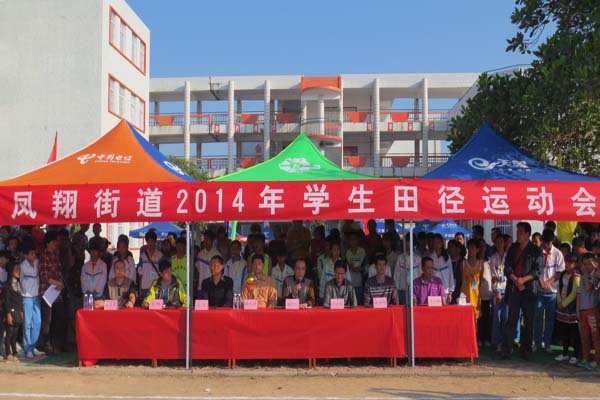 凤翔街道举行2014年学生田径运动会