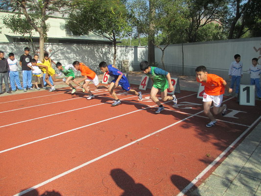 东里镇举办第45届小学生田径运动会