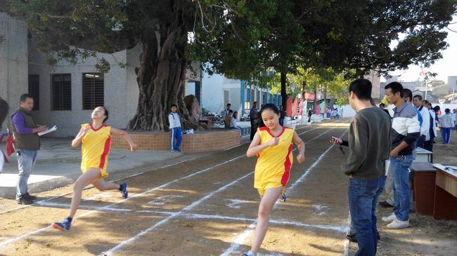 溪南镇举办2014年小学生田径运动会