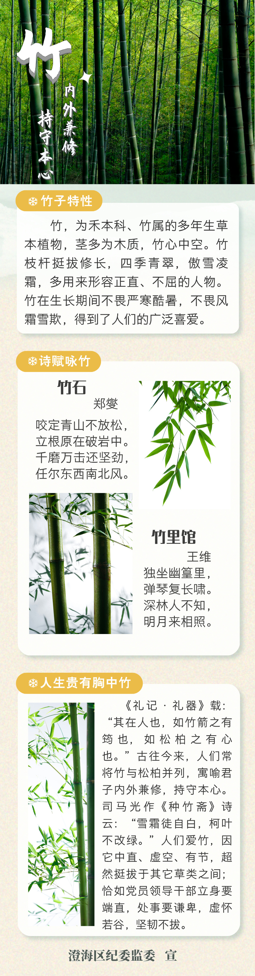 20250301廉洁花语--竹.jpg